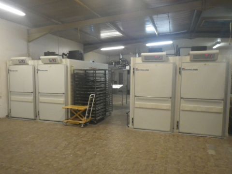 Tunnel de fermentation double 800x800mm occasion