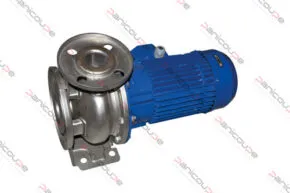 ELECTROPOMPE 300243 adaptable sur BODSON B-300243
