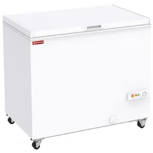 Conglateur coffre porte pleine 300 Litres DIAMOND