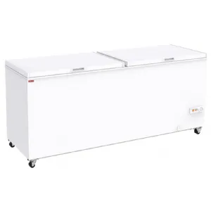Conglateur coffre porte pleine 655 Litres DIAMOND